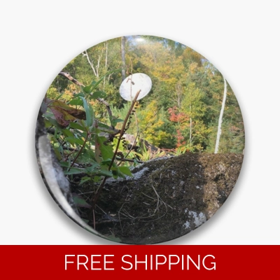 Le Studio Pin Satellite Dish 2019